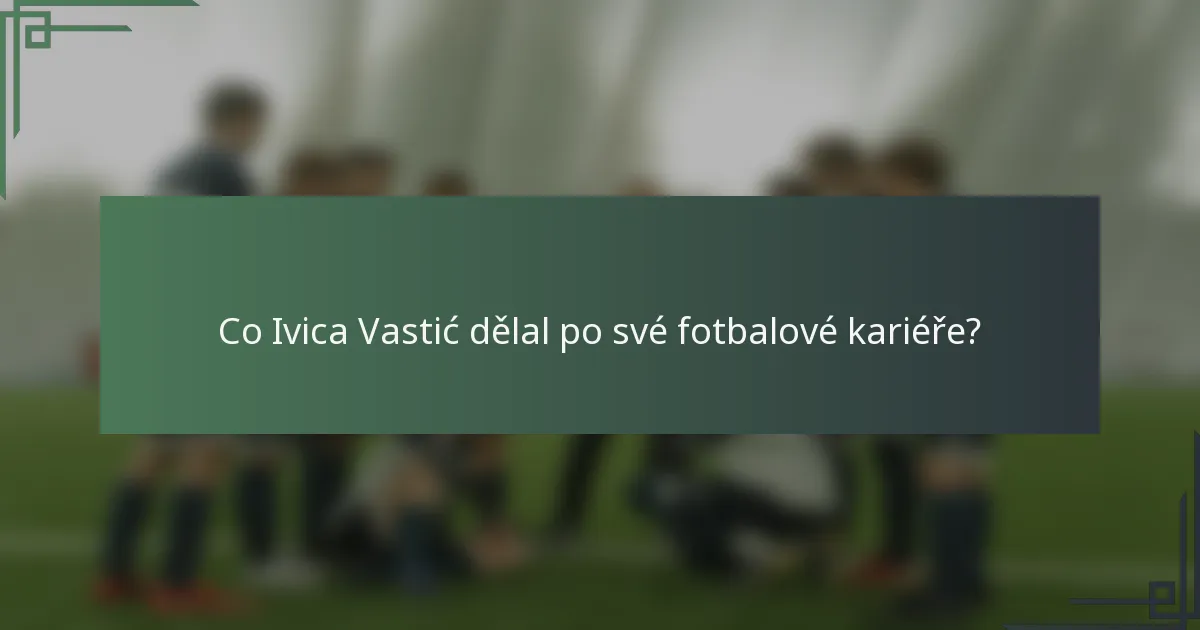 Co Ivica Vastić dělal po své fotbalové kariéře?