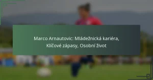 Marco Arnautovic: Mládežnická kariéra, Klíčové zápasy, Osobní život