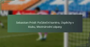 Sebastian Prödl: Počáteční kariéra, Úspěchy v klubu, Mezinárodní zápasy