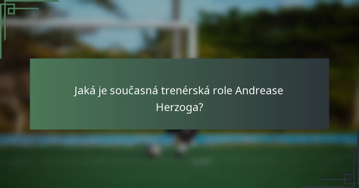 Jaká je současná trenérská role Andrease Herzoga?